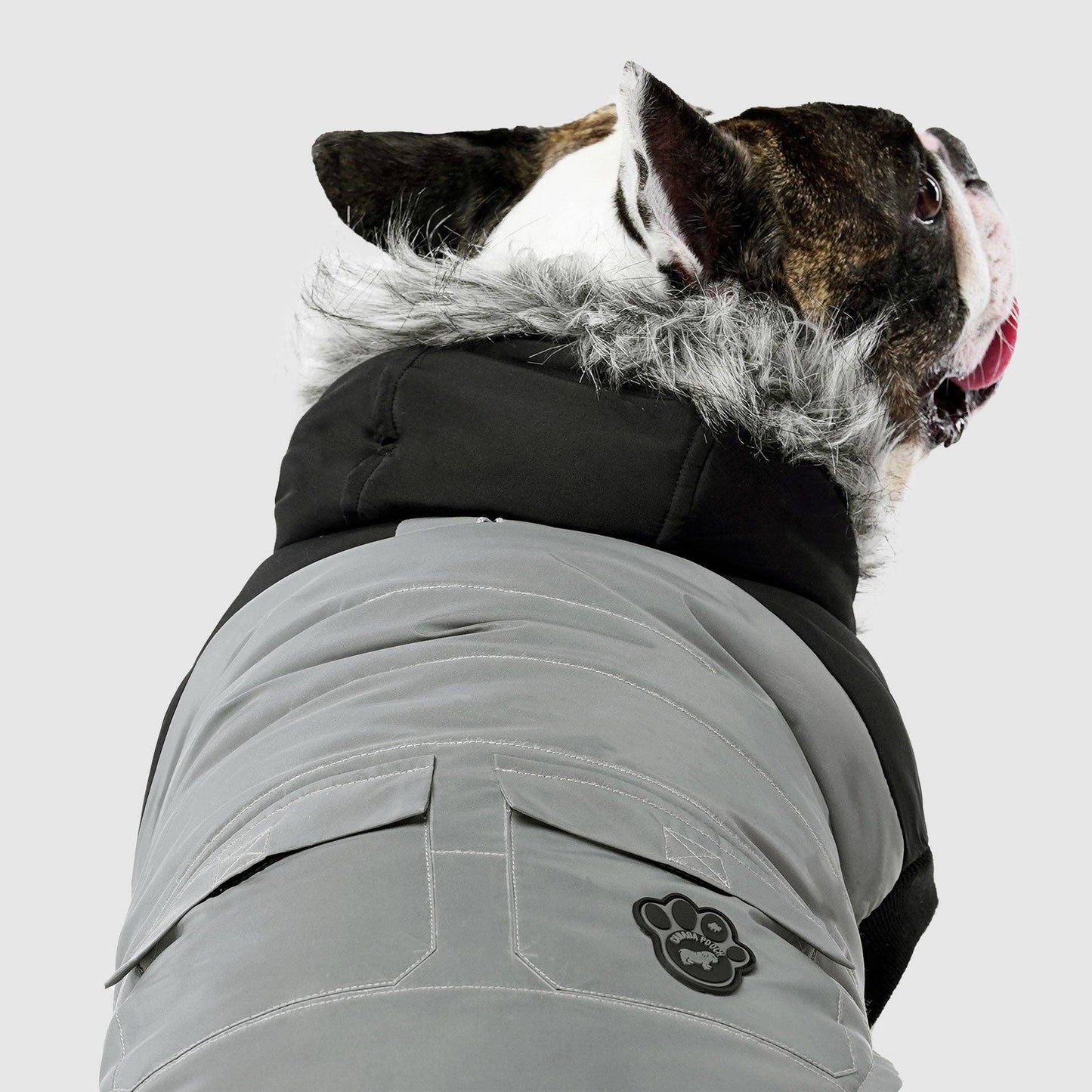 True North Dog Parka: Yellow / 20+
