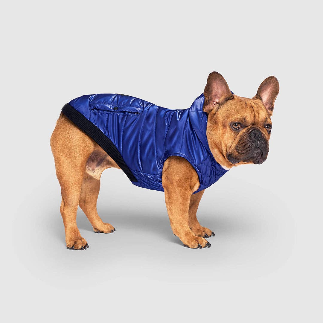 Shiny Puffer Vest- Dog Coat: Iridescent
