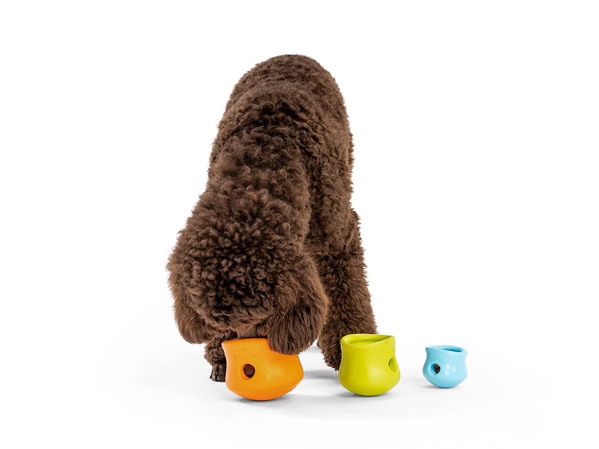 Toppl® Puzzle Treat-Dispensing Slow Feeder Dog Toy Small