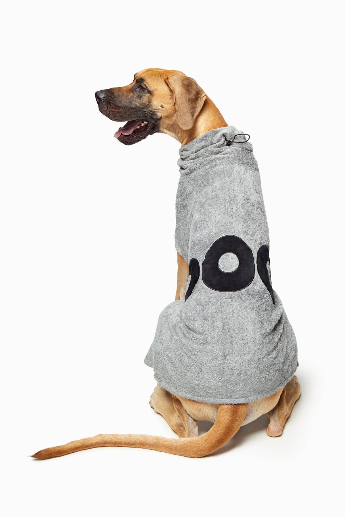 DOG Poncho: Grey