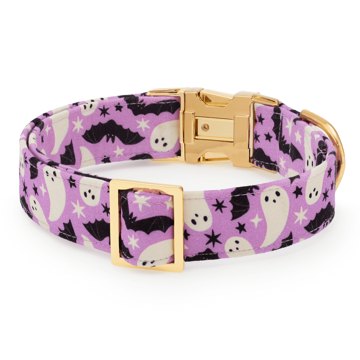 Spooky Season Glow-in-the-Dark Dog Collar: