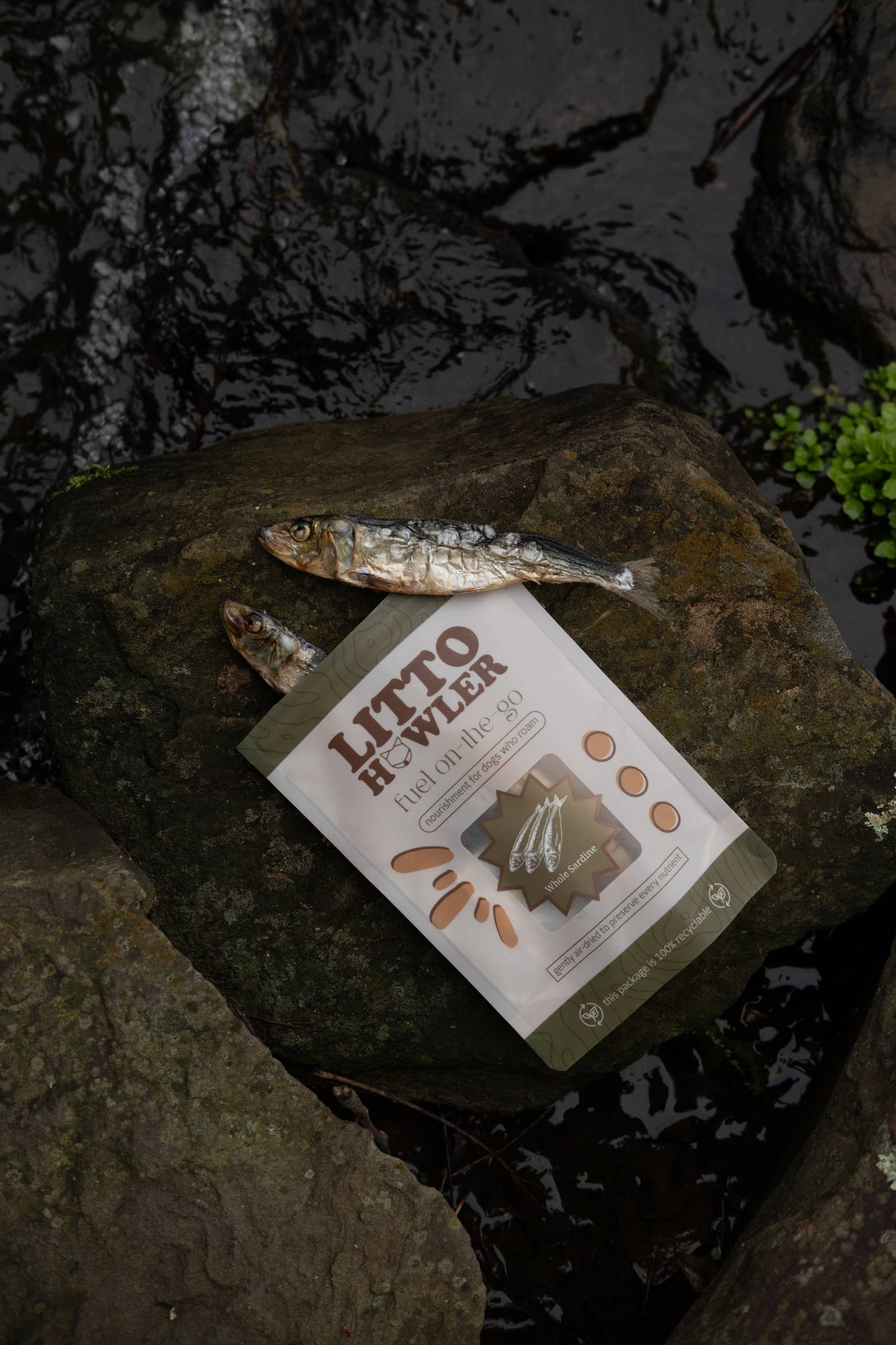 Whole Sardines | 3 oz