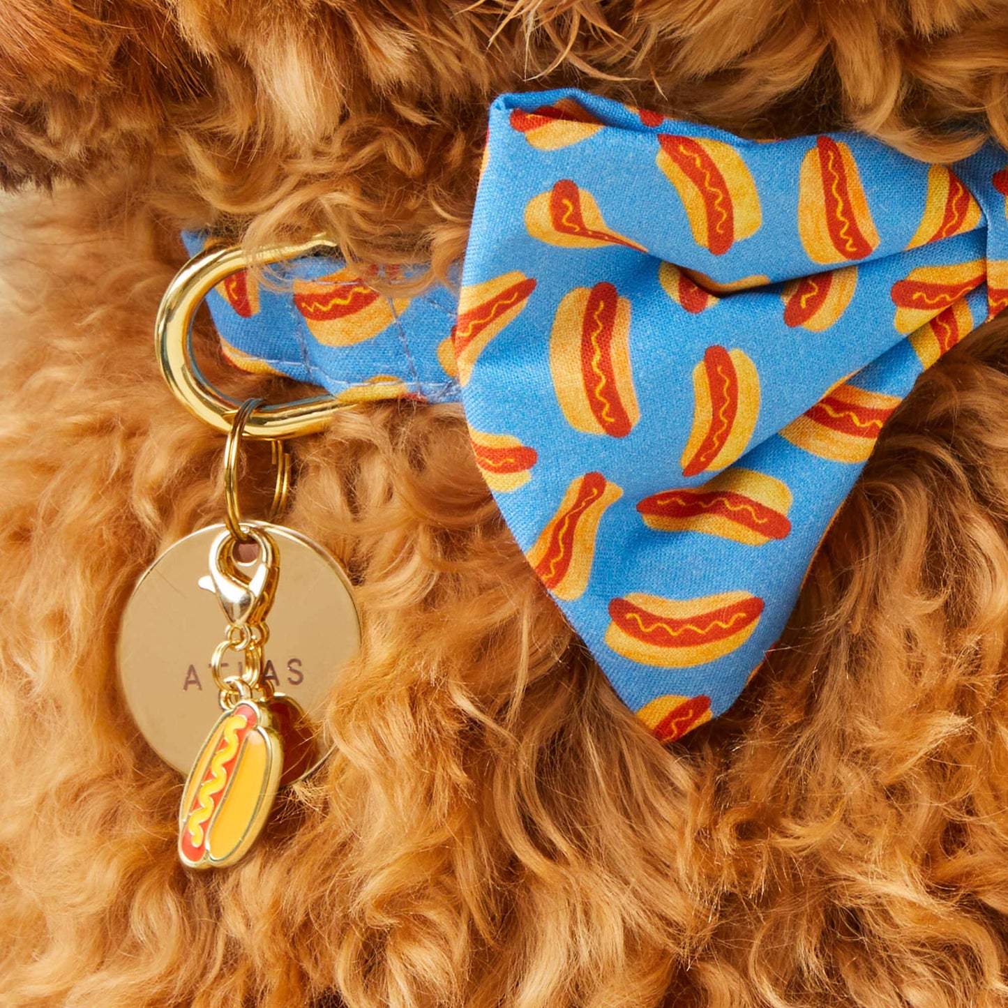 Hot Dog Collar Charm