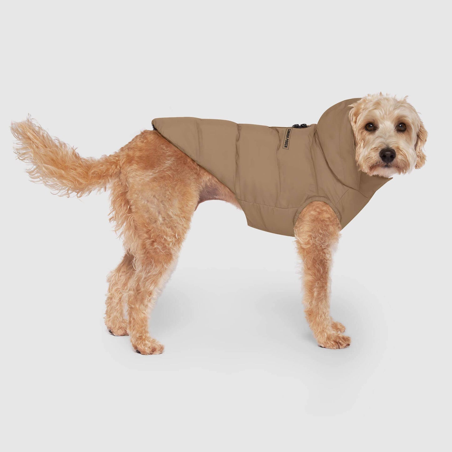 Waterproof Dog Puffer