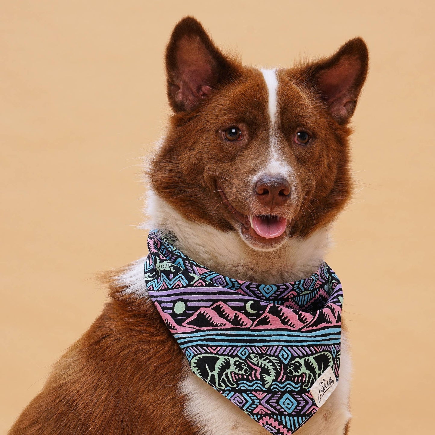 Wild Dog Bandana