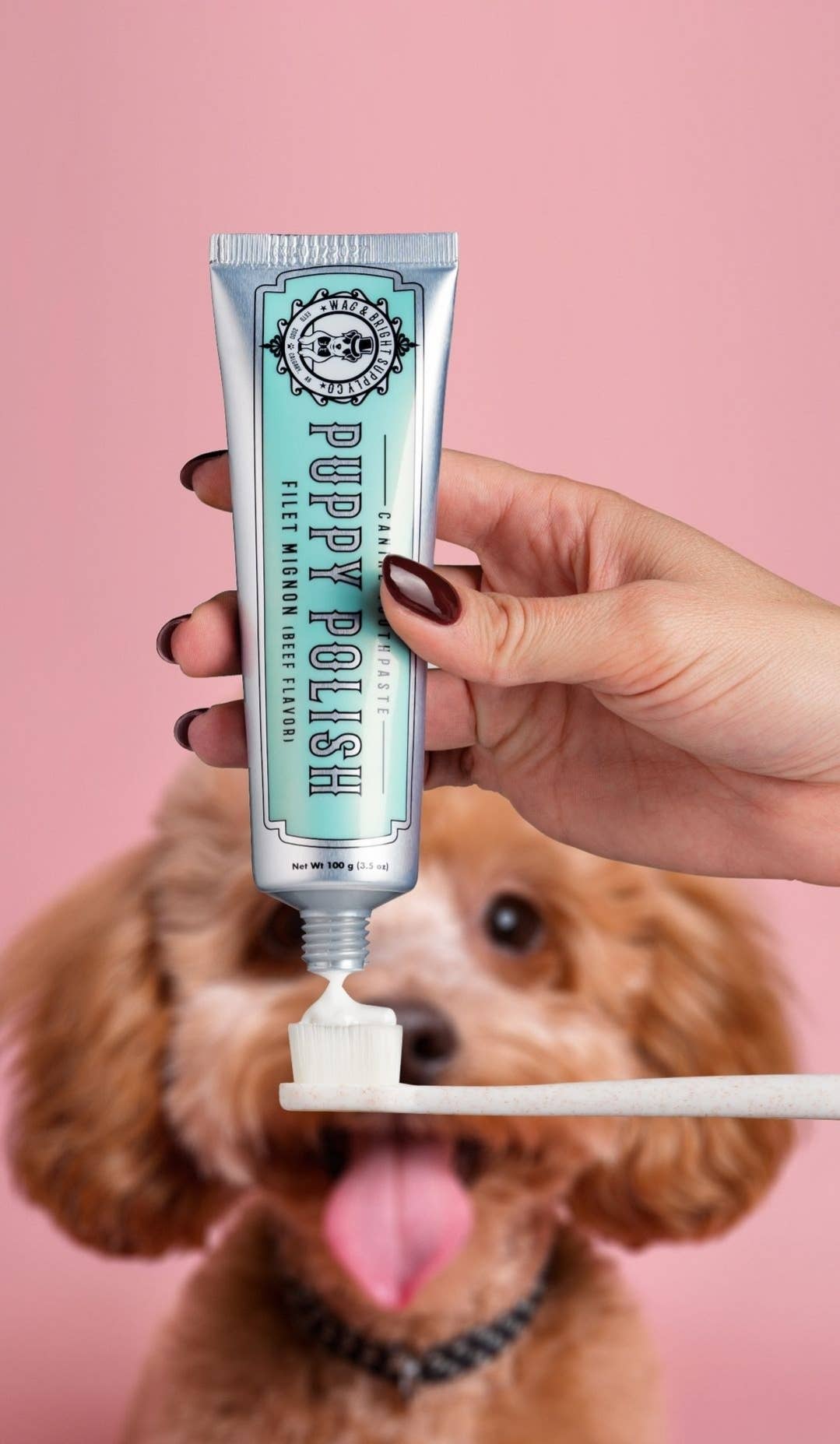 Puppy Polish Toothpaste - Beef Filet Mignon