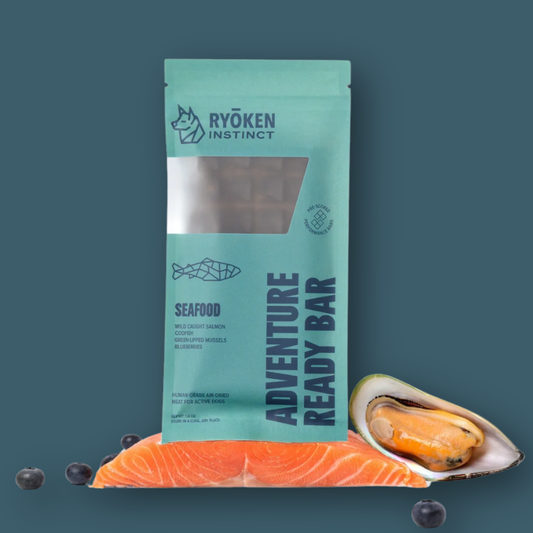 Salmon Treat & Snack Bar for Active -Dogs Energy & Recovery