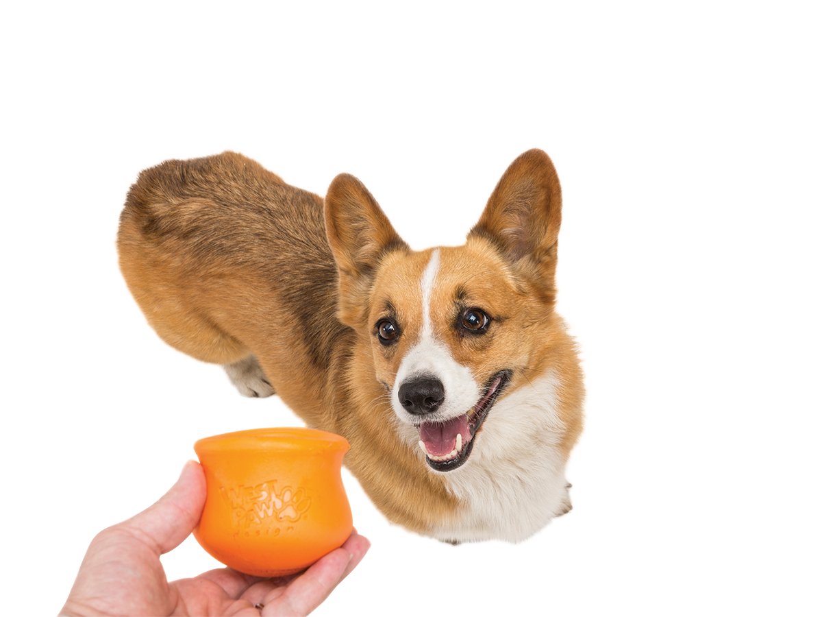 Toppl® Puzzle Treat-Dispensing Slow Feeder Dog Toy Small