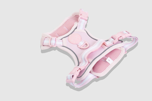 No Pull Comfort Dog Harness - Rose