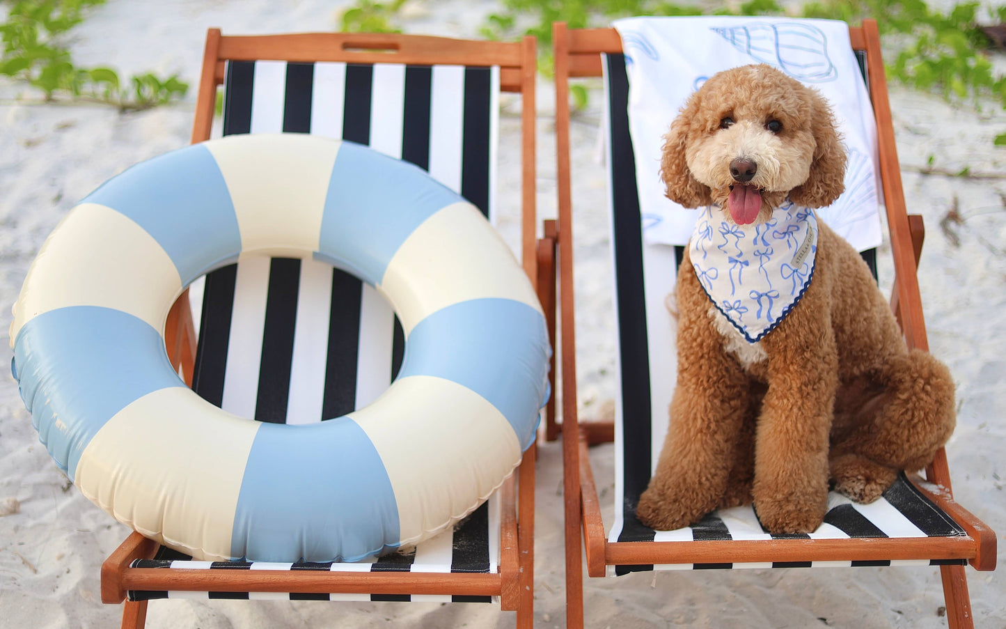 Stella & Oscar Ocean Knot Bandana