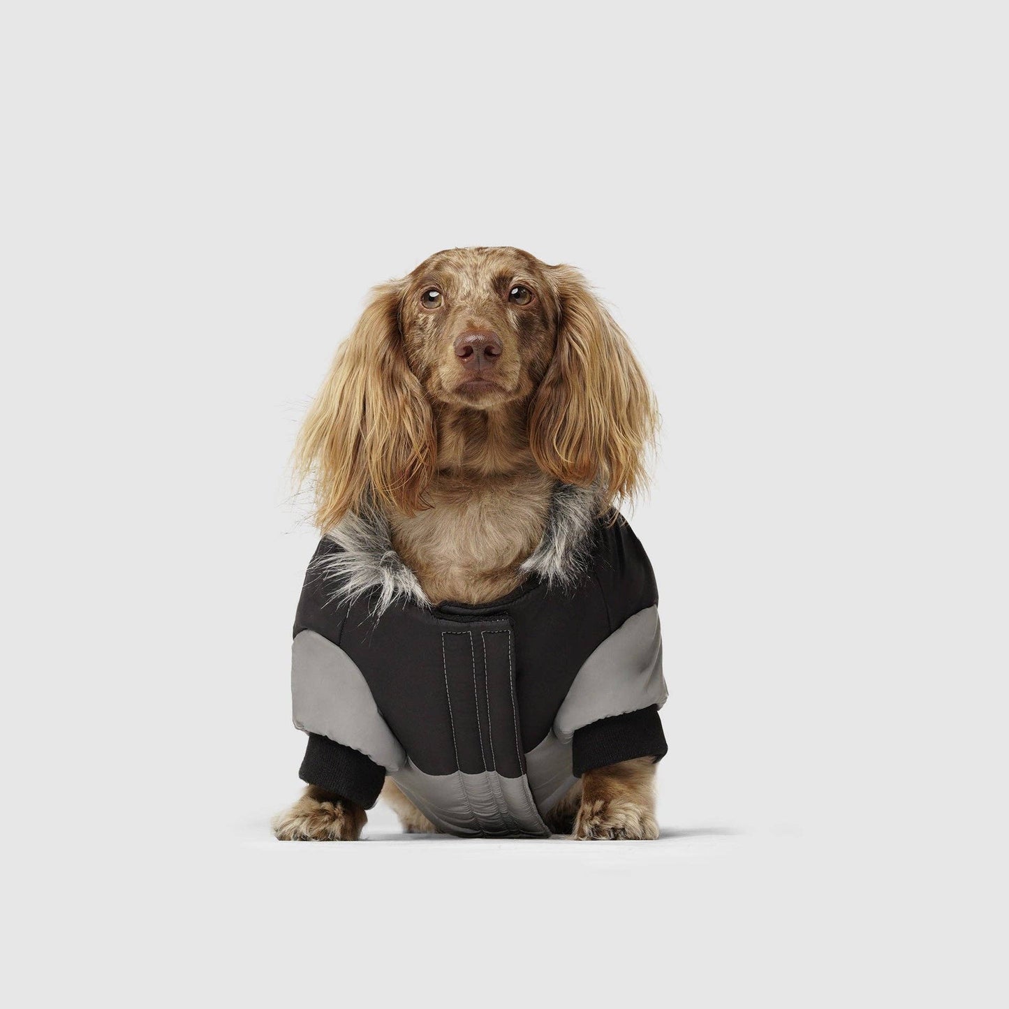 True North Dog Parka: Yellow / 20+