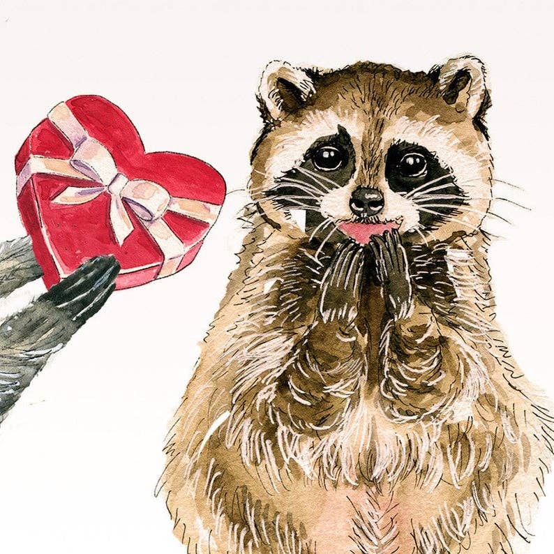 Be My Valentine Raccoon Love - Funny Valentines Day Card