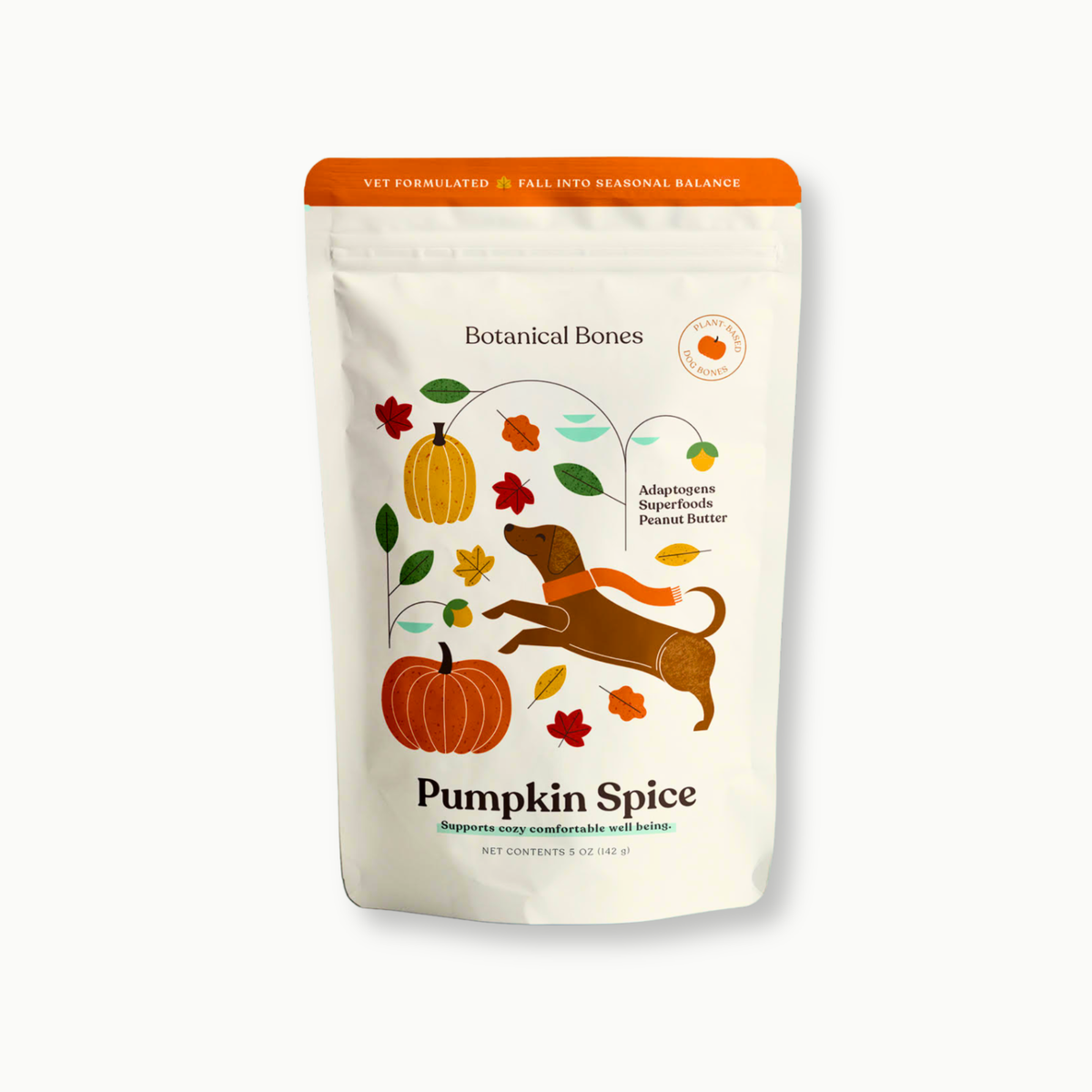 Pumpkin Spice Dog Treats