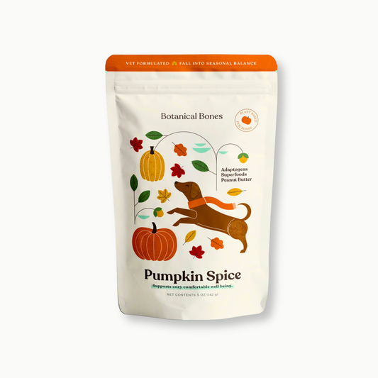 Pumpkin Spice Dog Treats