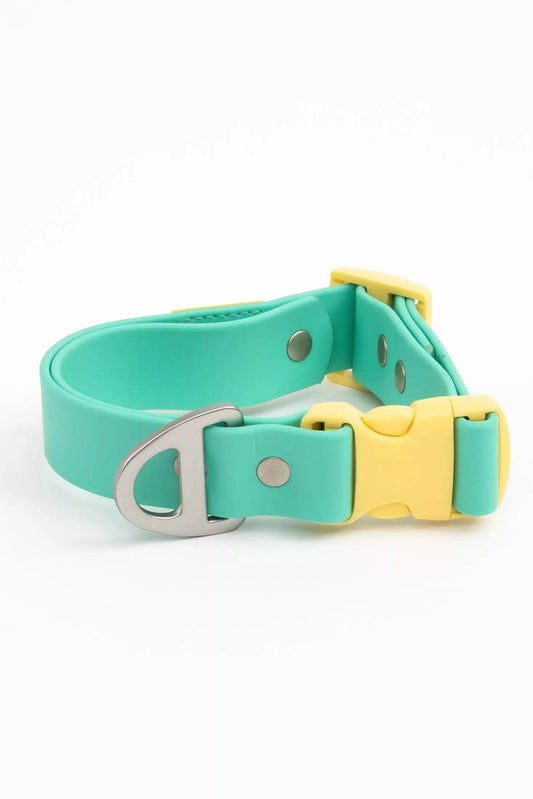 Island Vibes Waterproof Dog Collar: Aqua / Sunshine Yellow / 17 - 20