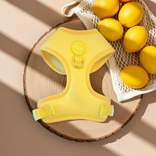 Yellow Dog Harness
