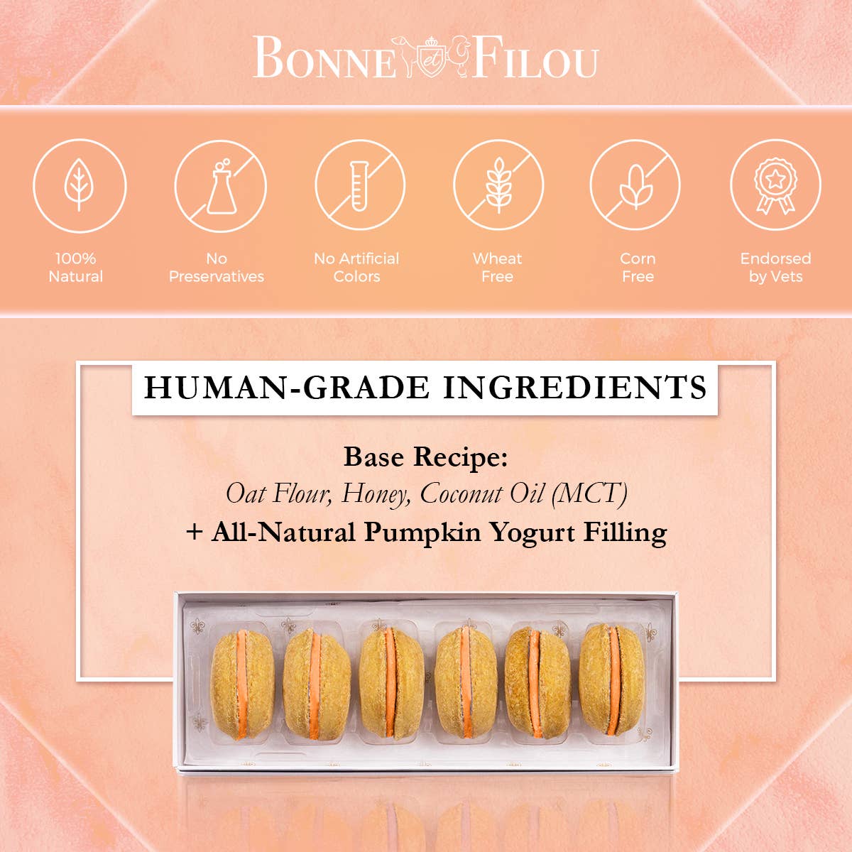 Bonne et Filou Dog Macarons | Peanut Butter