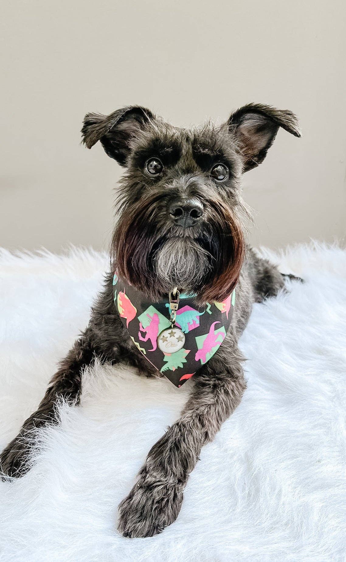 Retro Dino Dog Bandana, Reversible Snap On Collar: XL