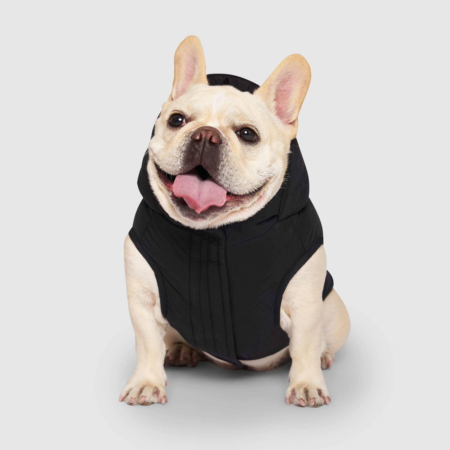 Waterproof Dog Puffer