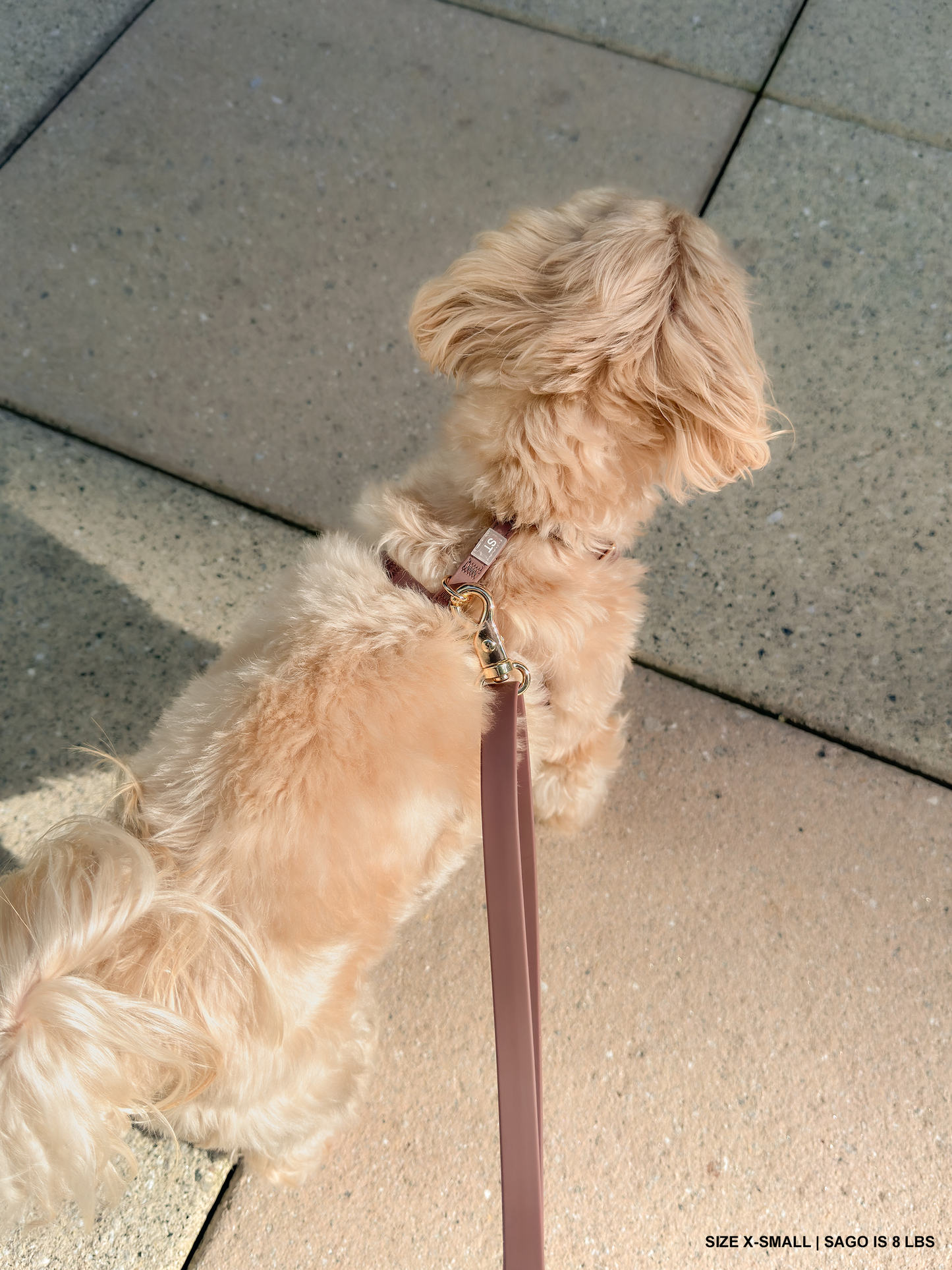 Espresso Brown Cloud Lite Dog Harness