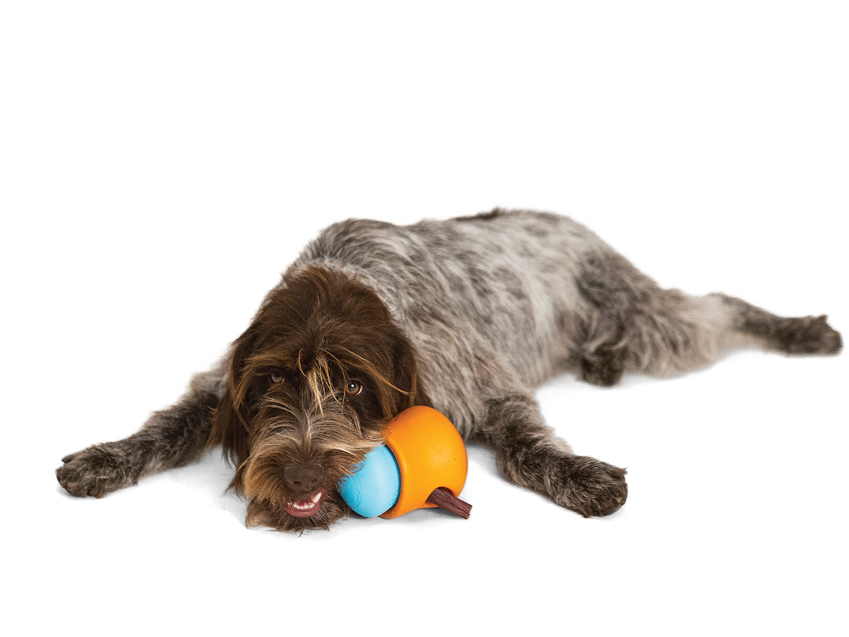 Toppl® Puzzle Treat-Dispensing Slow Feeder Dog Toy Small