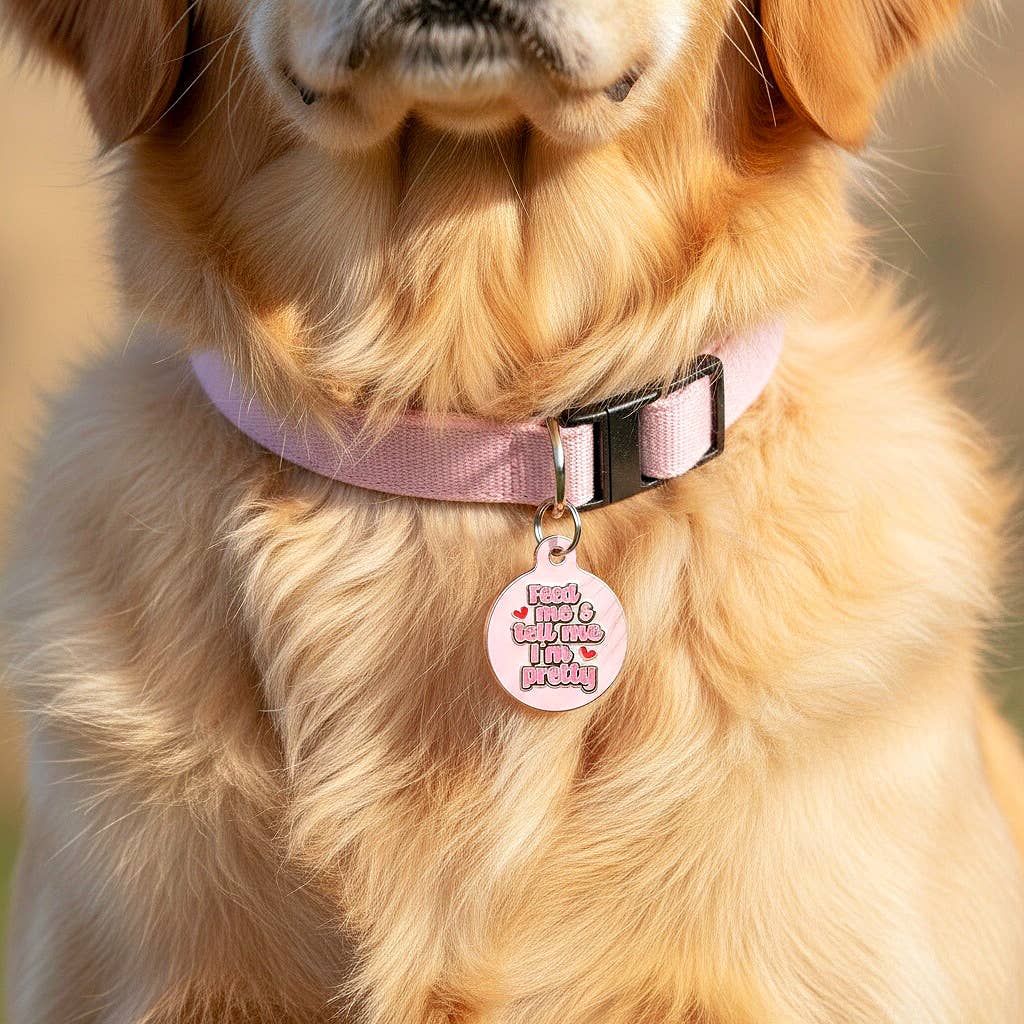 Cute Pet ID Tag & Dog Collar Charm - Tell Me I'm Pretty: Engraved QR Code / Small 1"