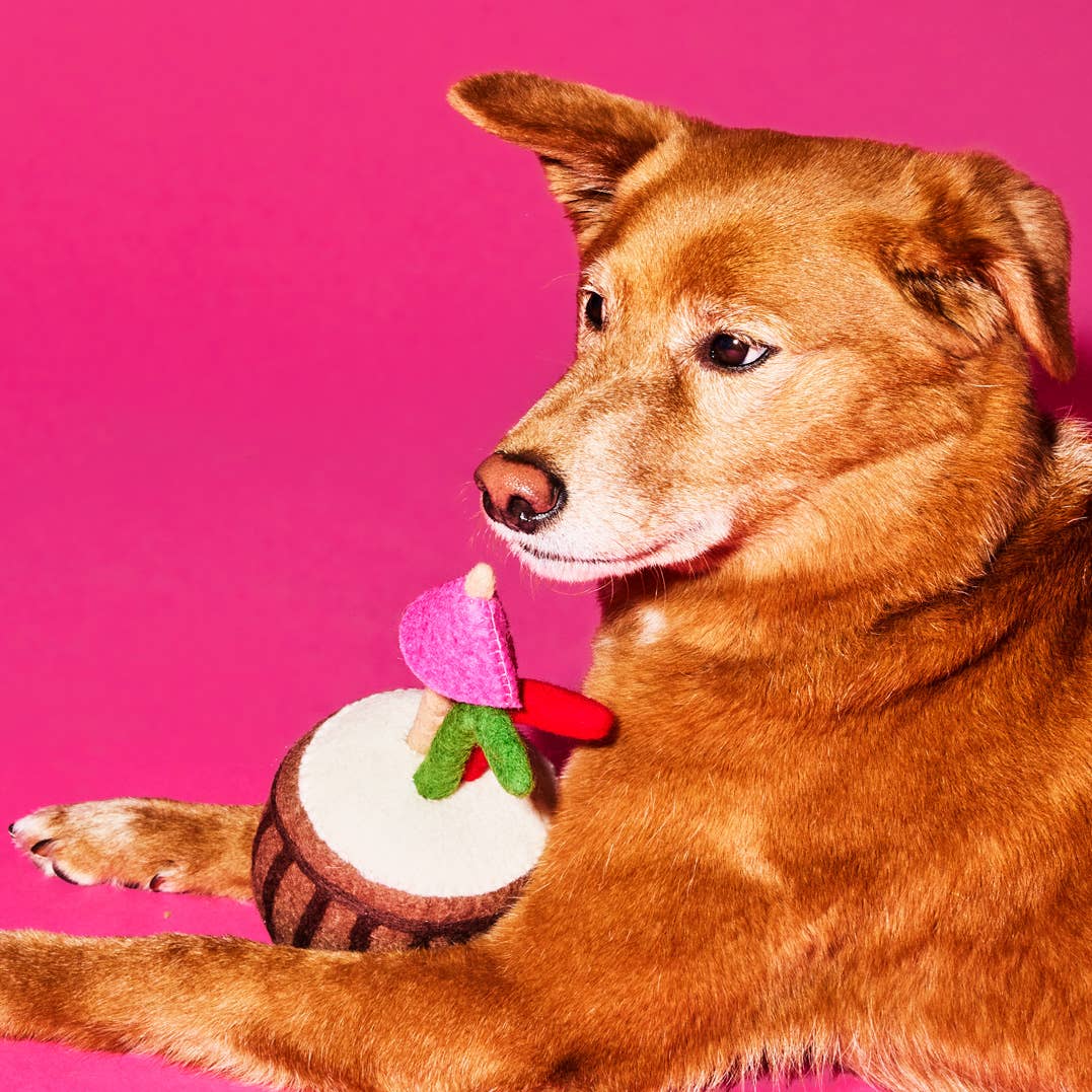 Boiled Wool Coconut Drink Dog Toy