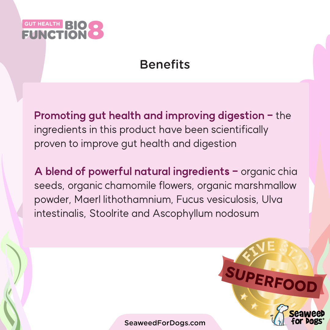 Biofunction8 Gut Health Supplement - 300 grams