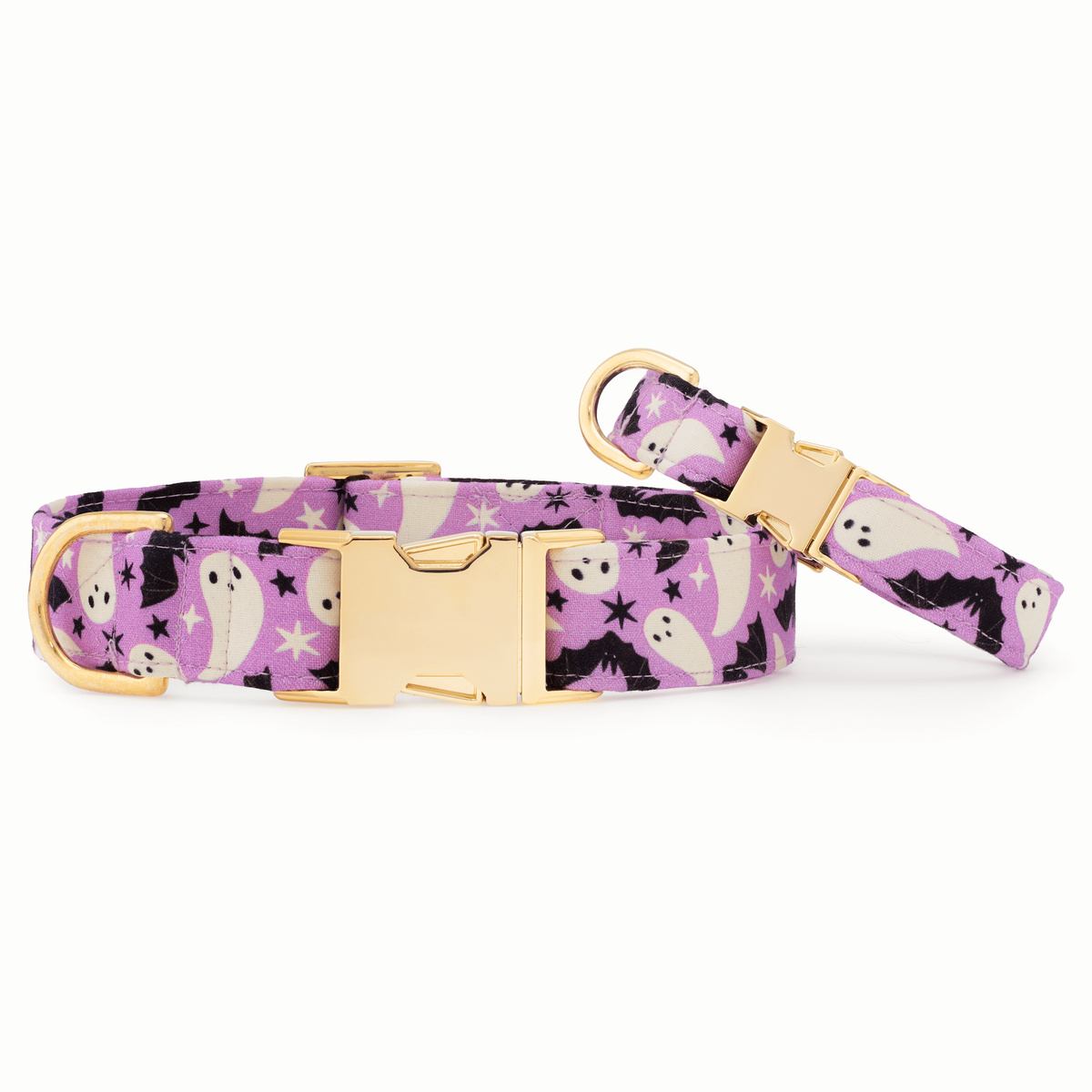 Spooky Season Glow-in-the-Dark Dog Collar:
