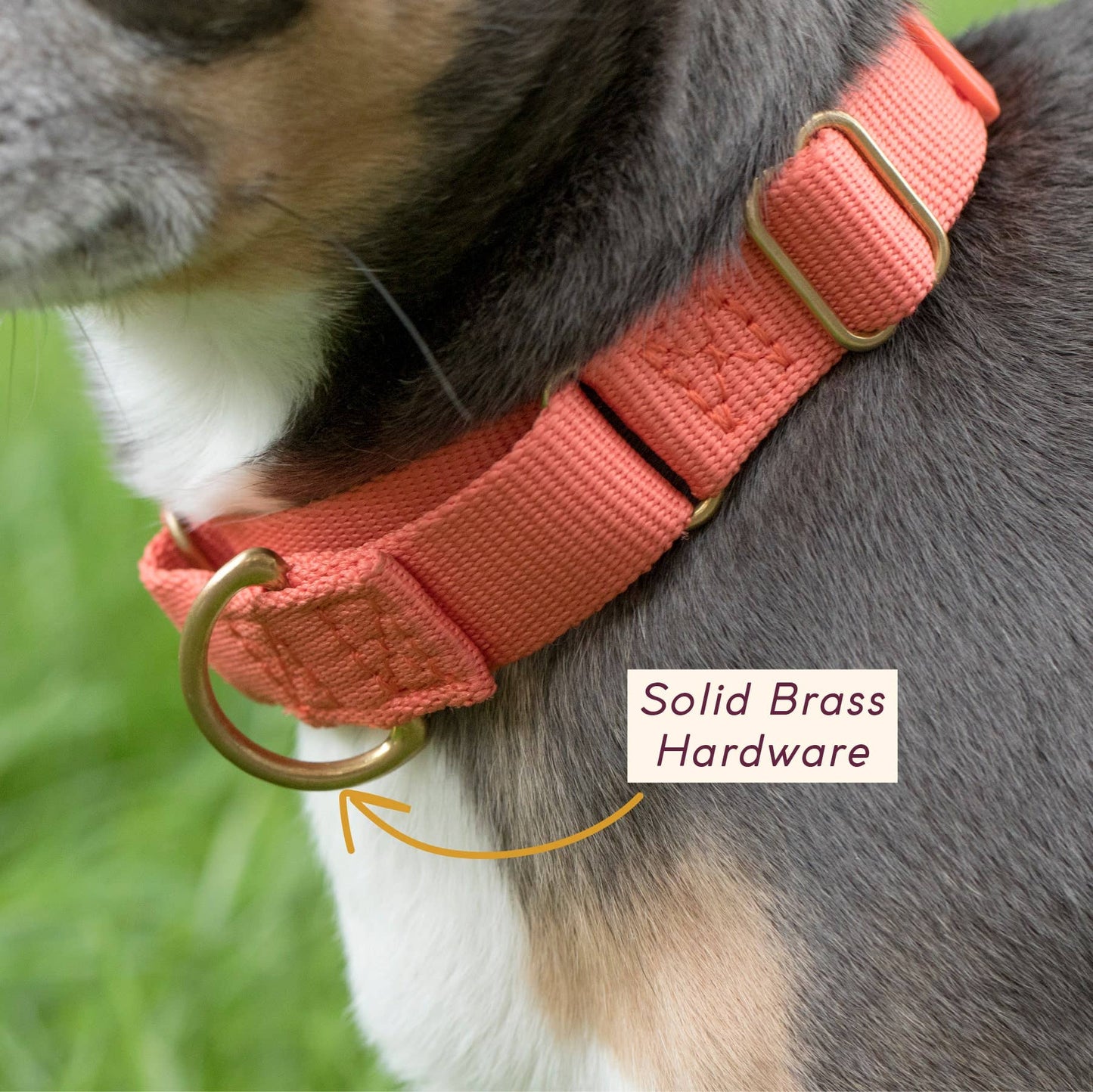 Marty Collar: NAVY