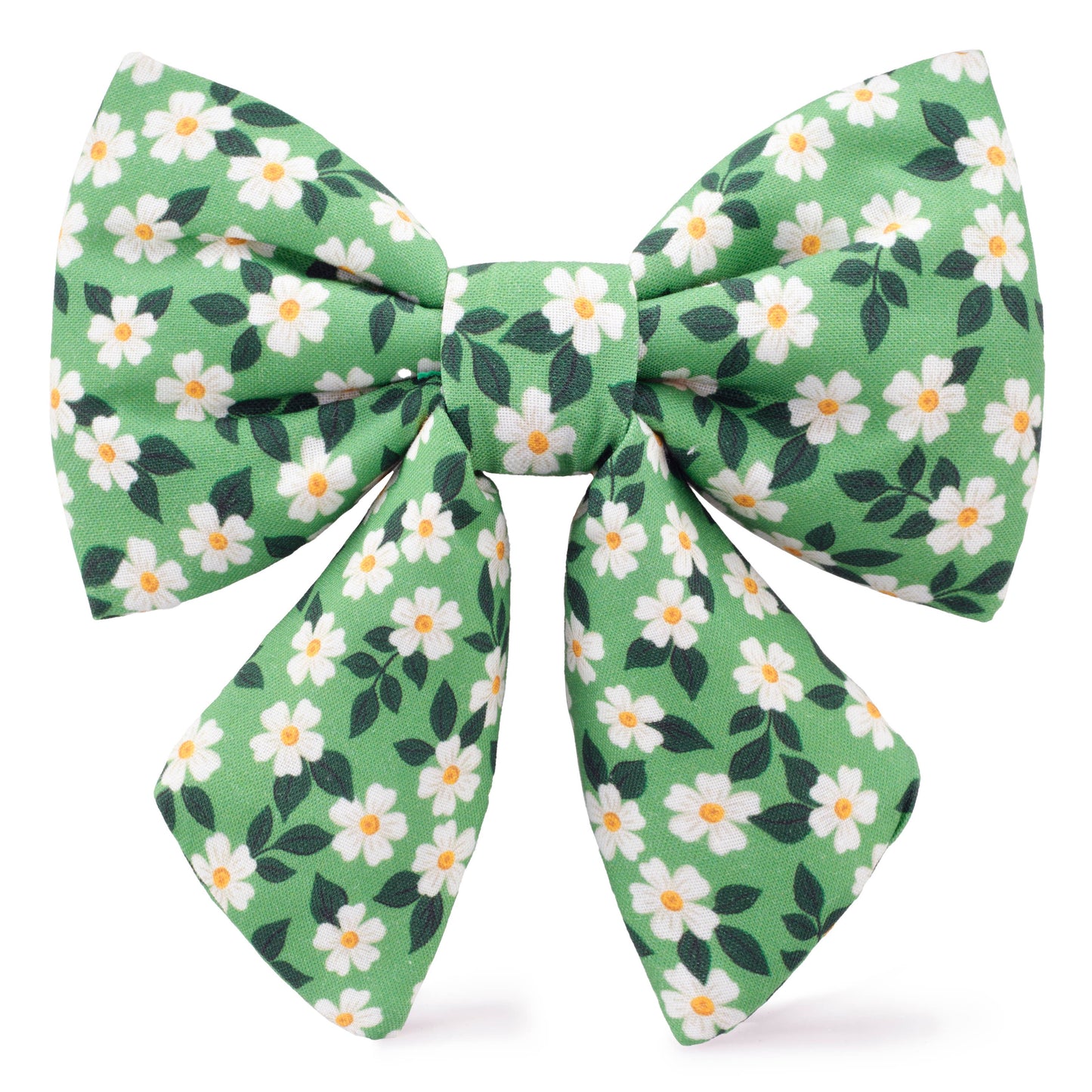 Dainty Daisies Bow