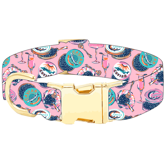 Printfresh x TFD Champagne and Caviar Dog Collar