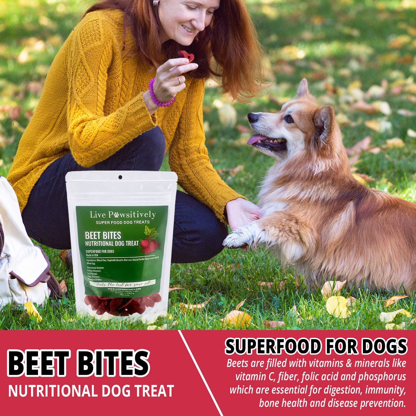 Beet Bites Nutritional Dog Treats