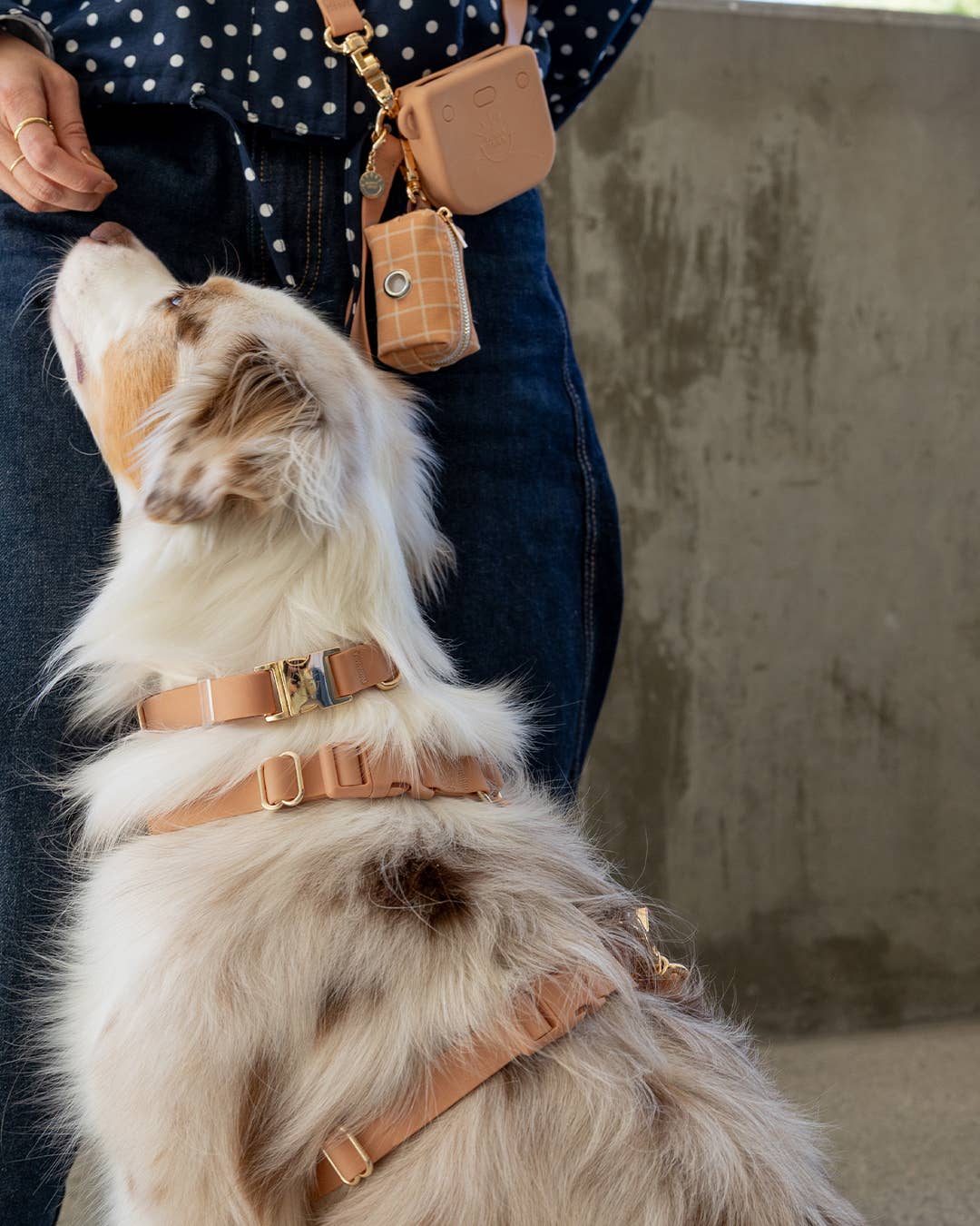 Chai Brown Cloud Lite Dog Harness