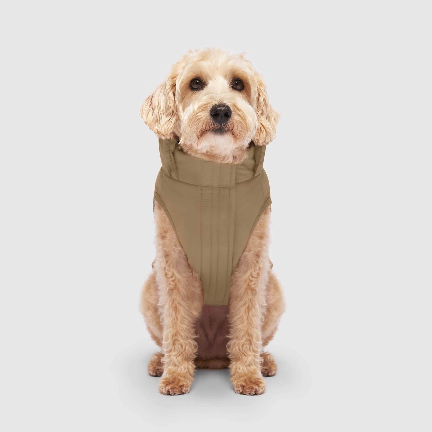 Waterproof Dog Puffer