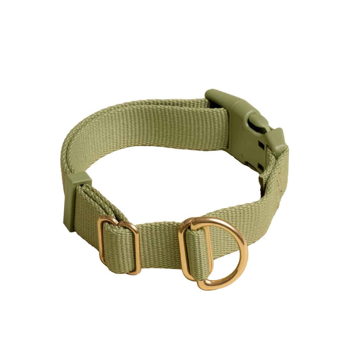 Pack Collar: PINE