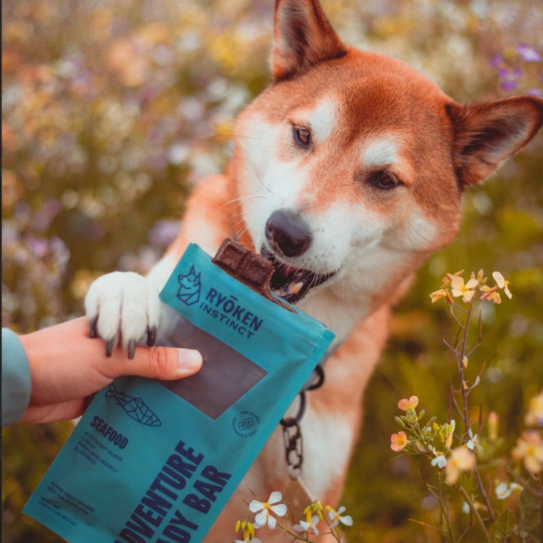 Salmon Treat & Snack Bar for Active -Dogs Energy & Recovery