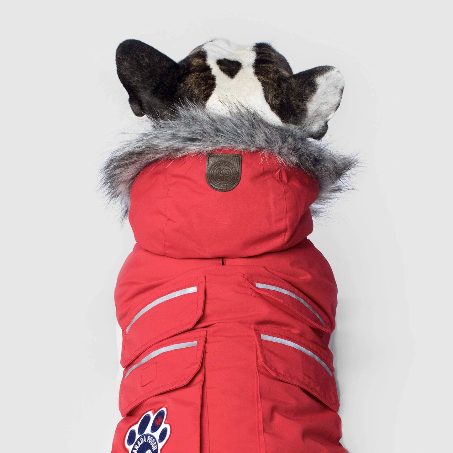 Everest Explorer Jacket- Dog Coat: Red Reflective