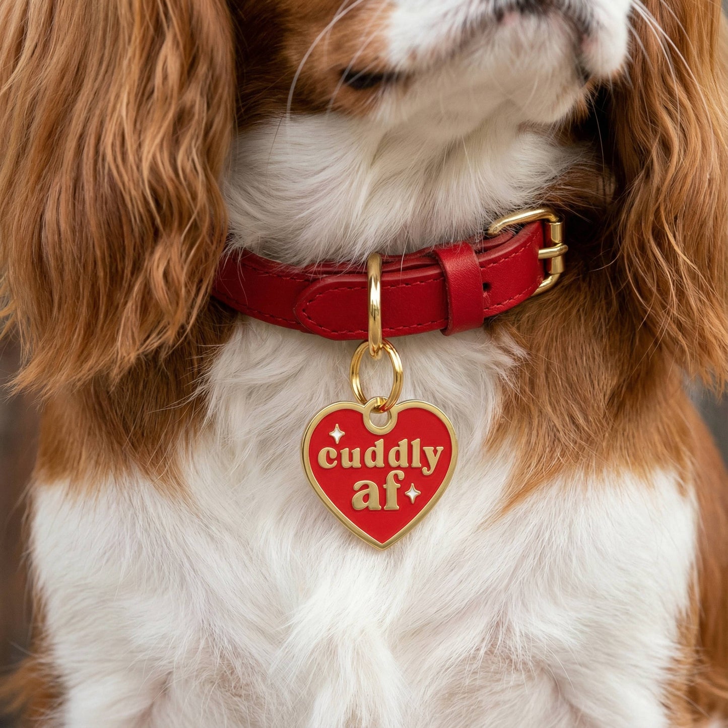 Funny Dog Charm & Pet ID Tag- Cuddly AF : Large / Engraved QR Code