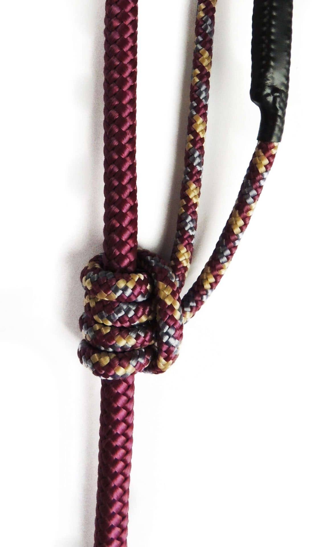 Brisbane - Extendable Dog Leash: 5.00 mt / Climb