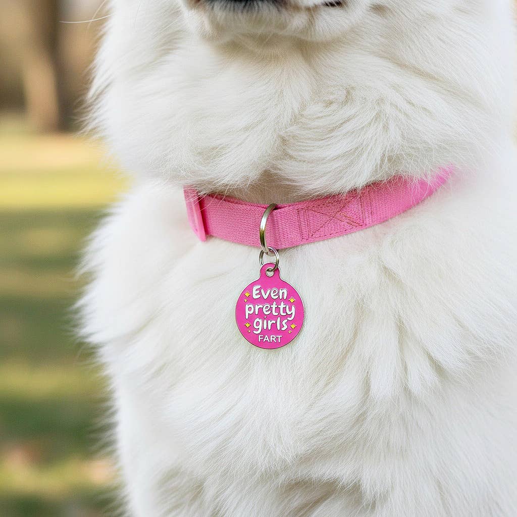 Dog Collar Charm Pet ID Tag - Even Pretty Girls Fart