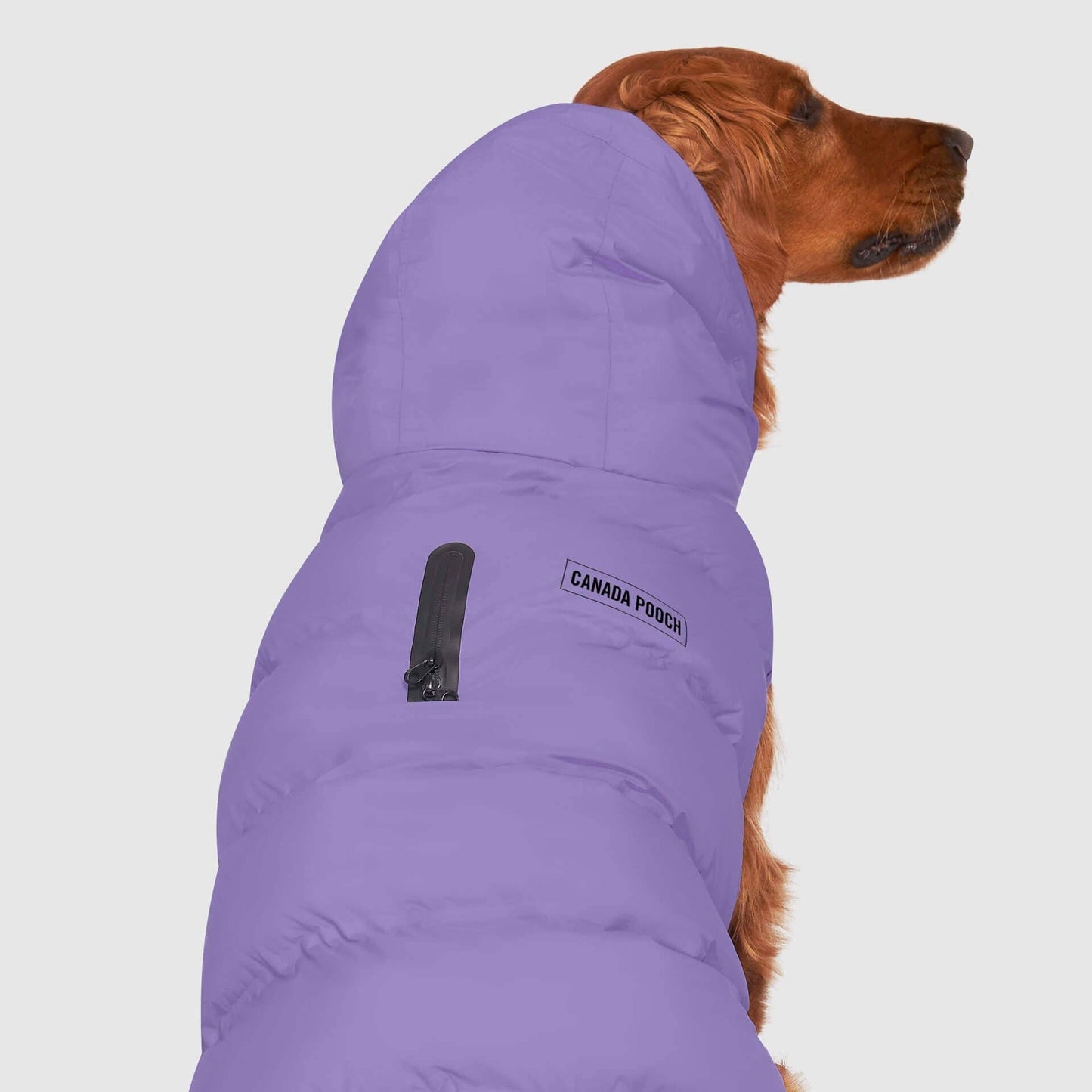 Waterproof Dog Puffer