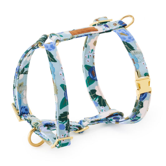 Rifle Paper Co. x TFD Vintage Blossom Spring Dog Harness