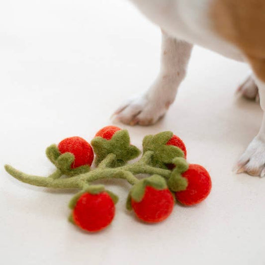 WOOL CHERRY TOMATO VINE