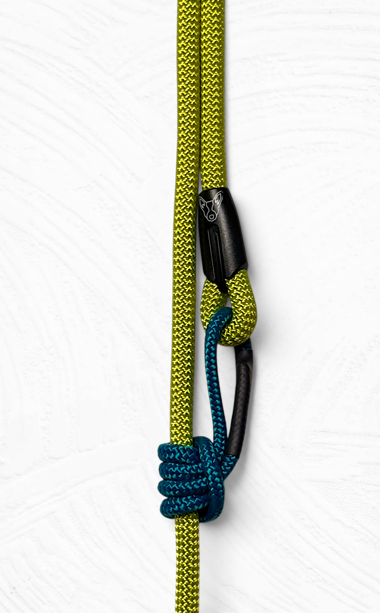 Turquay retractable leash: 5.00 mt / Climb