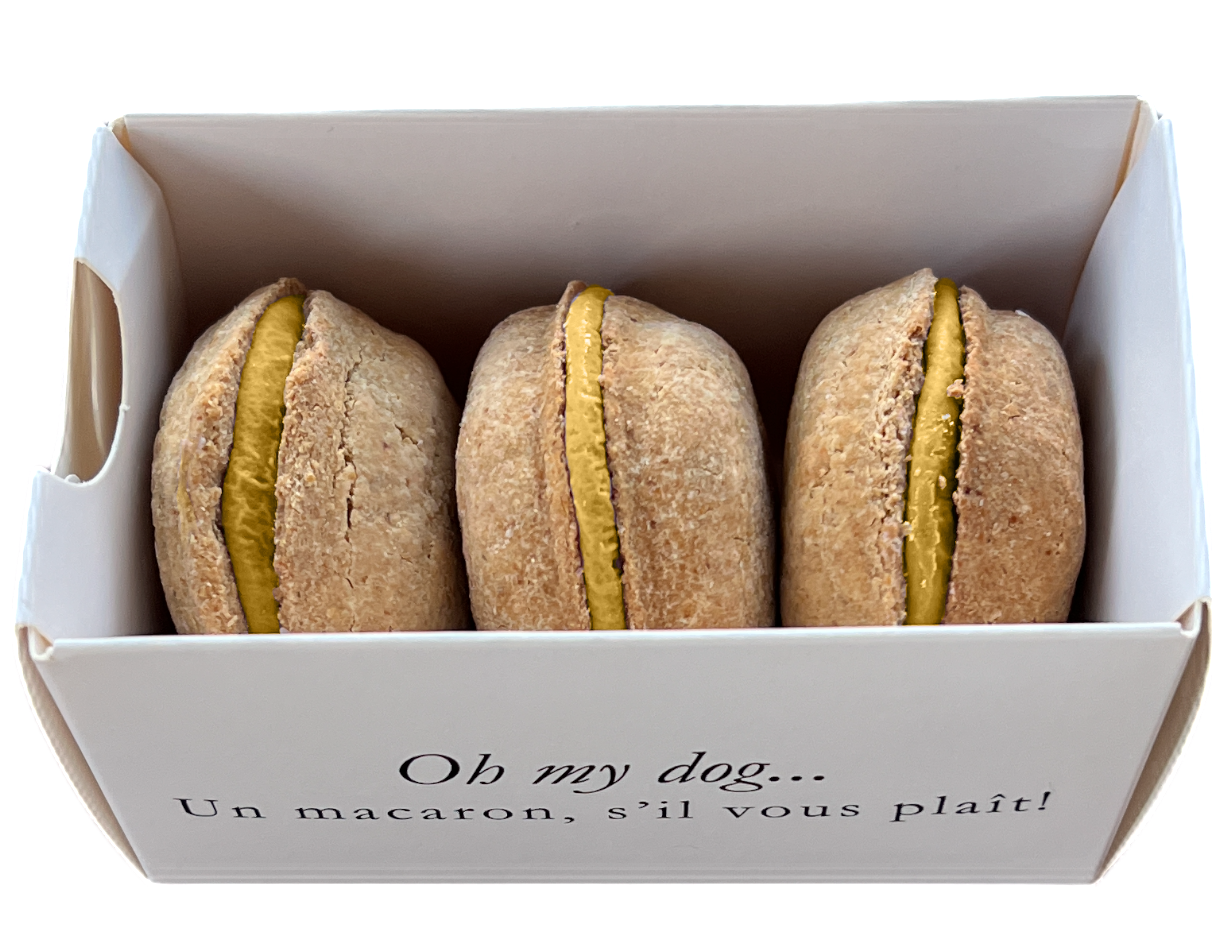 Dog Macarons -  Cheese