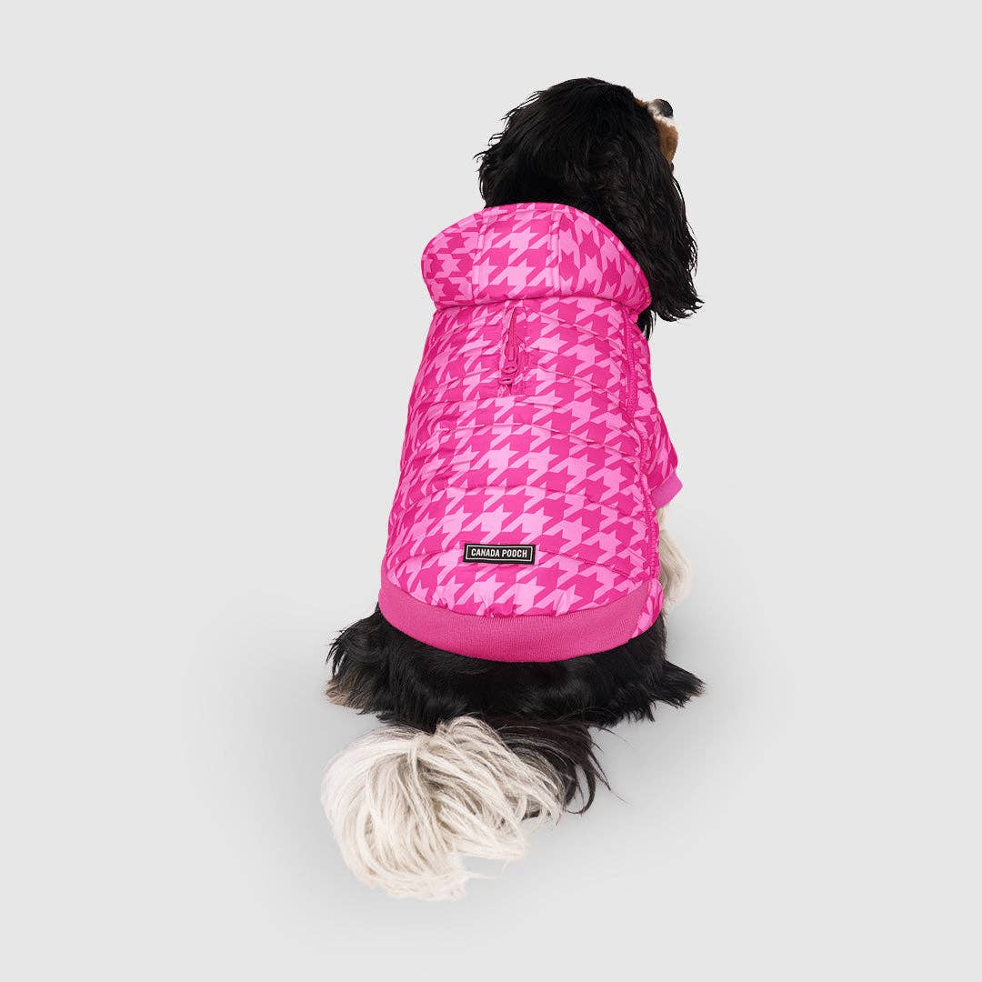 Prism Puffer- Dog Coat: Galaxy / 8