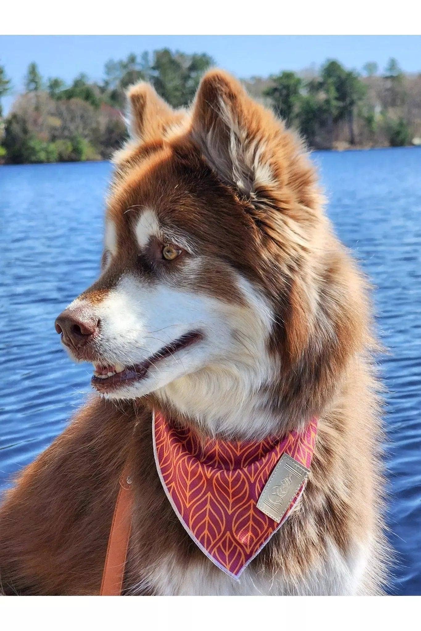 Twilight Trails Bandana: XL