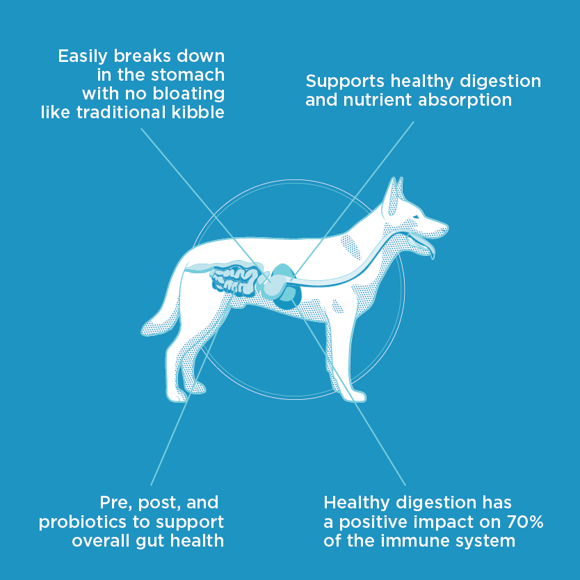 All-Natural Cold-Pressed Beef Dog Food: 2 lb