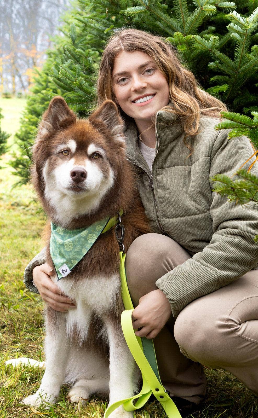 Mossy Pine Waterproof Dog Collar: Chartreuse / Willow Green / 17 - 20
